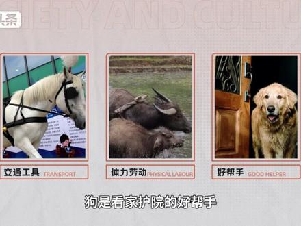 与人类关系最密切的动物——六畜#六畜