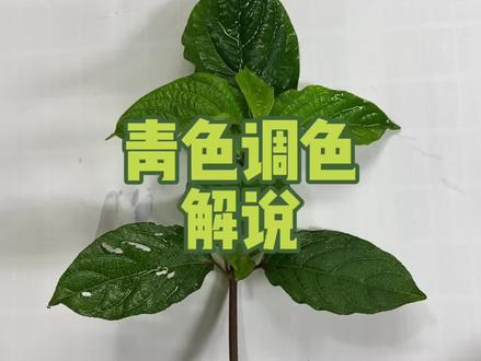 嫩绿色和青绿色调色解说,五色油漆调色原理,三基色原理#色彩基础 #帮师傅 #调色