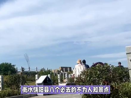 衡水饶阳县八个必去的不为人知景点,最后一个必去! #旅游推荐 #旅游胜地 #旅行推荐官 #景点 #旅游推荐官