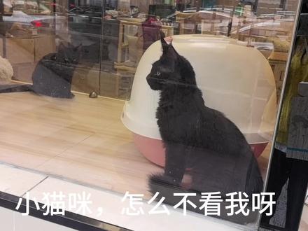 普通人月薪八千多已经算高薪了,不要被网络搞破了心态#职场 #找工作 #月薪