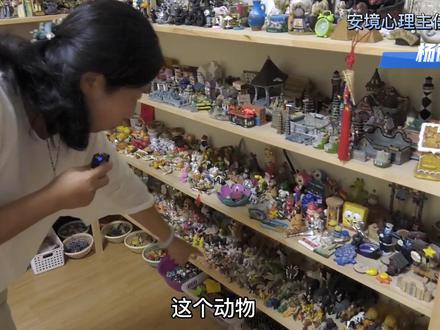 自然类沙具、宝石等小型沙具如何摆放合适呢?#沙盘游戏 #分析心理学 #儿童心理学