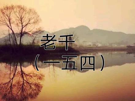 #网络小说推荐 #小说推文 我当老千的那些年