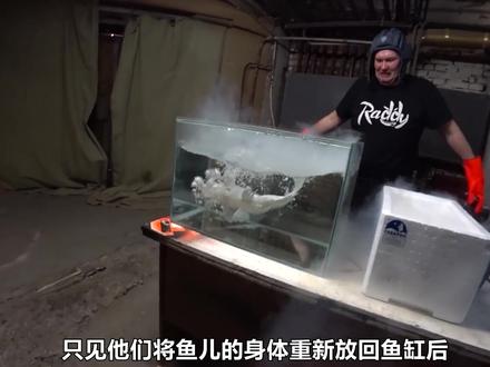 牛人将100升液氮倒进泳池,可以把泳池冻住吗?结局意想不到! #液氮 #冰冻泳池
