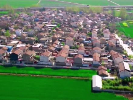 农用地转为建设用地具体10大流程#乡村振兴 #三农 #美丽乡村 #乡村振兴dou行动 #土地