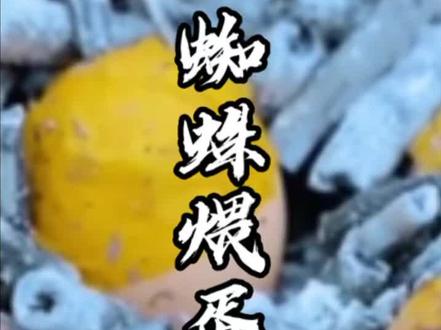重口味的地方特色美食,蜘蛛煨蛋你敢吃吗?#抖音美食推荐官 #地方特色美食 #风味人间