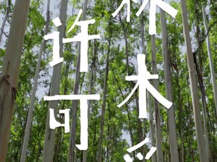 都2023年了你还不知道办理林木采伐许可证需要带什么材料吗#桉树 #树木砍伐 #林木采伐许可证