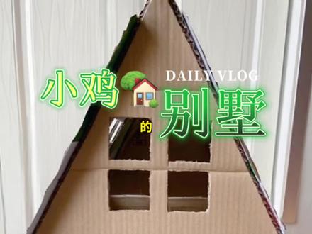 鸡窝V3.0。小鸡经常飞出箱子后,在上面盖了个纸板,采光不好,通风也不太好,于是给鸡窝进行了改造,加了个尖顶。#萌宠 #记录宠物的日常生活 #小鸡 #自制鸡窝 #纸箱改造