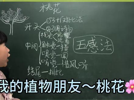 #我的植物朋友 #三年级写作 #桃花 《我的植物朋友-桃花》