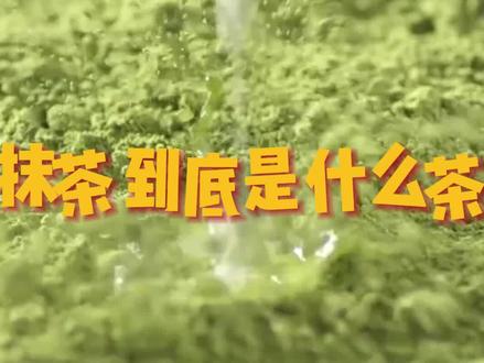 原来抹茶与绿茶差别这么大! #千万ip创科普 #好奇中国 #抹茶 #科普一下