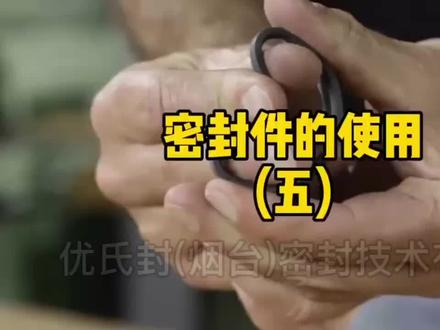 进口斯特封安装方法 #斯特封 #格莱圈 #进口密封 #优氏封 #进口密封定制 #来图来样 #全国发货