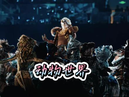 万兽之王首场-动物世界❗️#薛之谦 #万兽之王 #薛之谦万兽之王