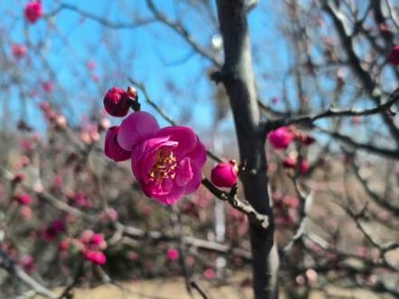 🌟朱自清《春》配上范伟的朗诵,别有一番韵味呢~📖听着熟悉的文字,仿佛回到了学生时代✨