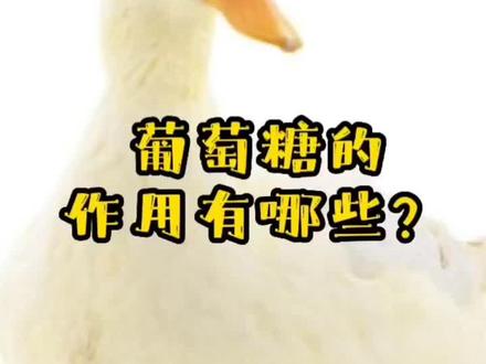 葡萄糖的作用有哪些?
#养殖小知识