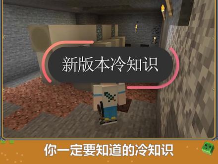 你一定要知道的新版本冷知识,话说,最后一个不是有手就行吗#我的世界 #心灵手巧的游戏热爱者