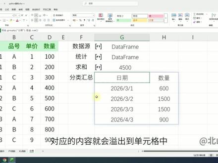 Python in Excel实现分类汇总! #python #PythoninExcel #分类汇总