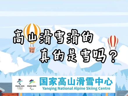 #冬奥会 #高山滑雪 滑的是冰还是雪?傻傻分不清楚