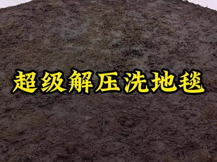 清洗一块百年难得一遇的地毯! #解压 #洗地毯 #强迫症