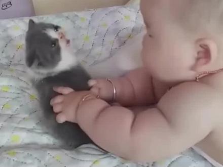 这小猫咪脾气不好#搞笑 #动物成精系列