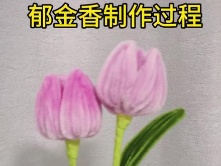 郁金香教程来了#扭扭棒教程 #郁金香#手工