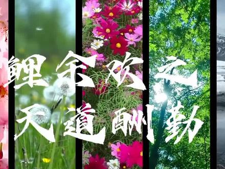 #奇喵#奇喵宇宙#原创 #鲤余欢#纯糖无刀
小鲤鱼和龙商来啦
剪视频不易请把多包容谢谢(*°∀°)=3