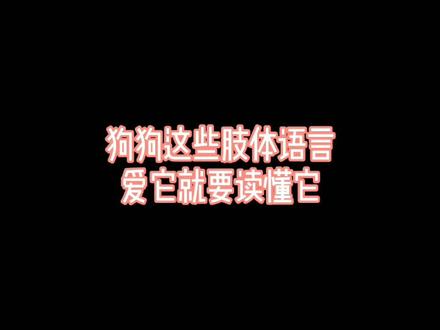 狗狗这些肢体语言,爱它就要读懂它#狗 @抖音小助手