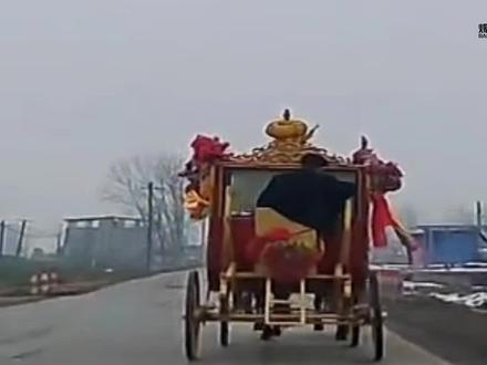 河南周口,新郎新娘坐马车赴婚礼两马莫名受惊失控马车径直冲进沟里,事发时行车记录仪画画流出!#婚礼 #新娘#新郎 #马 #后续