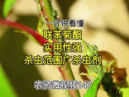 农资微视频147:实用性强、杀虫范围广,大小虫通杀的联苯菊酯 #蚜虫 #病虫害防治 #杀虫剂 #白粉虱