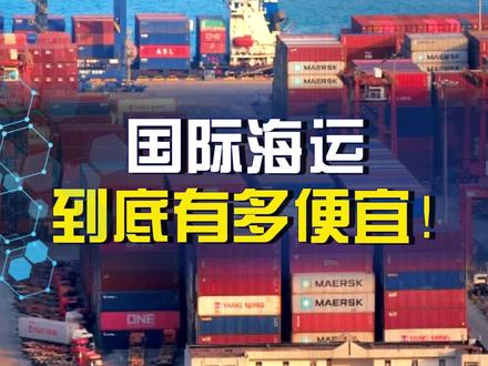 海运到底有多便宜!#国际海运 #国际物流 #海运 #集装箱运输 #外贸出口