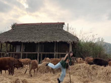 想当歌手但爸妈让我放🐮😂😂#神曲 #叮叮当当