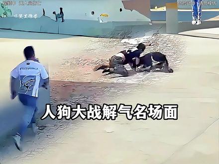 以暴制“暴”!人类绝地反击狂虐恶犬名场面#狗子 #疯狗 #搞笑视频 #瓜子二手车