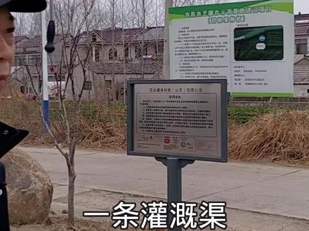 淮安区大苏嘴。#淮安 #巳季如春福满淮安