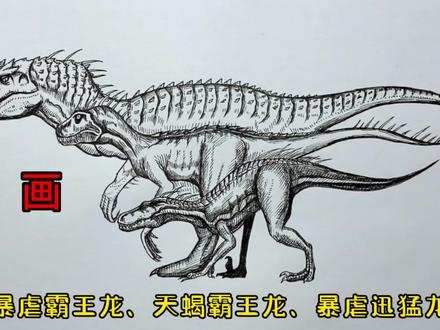 手绘恐龙教程、教你如何画恐龙、暴虐霸王龙、天蝎霸王龙、暴虐迅猛龙#画画 #手绘 #绘画过程 #恐龙 #侏罗纪世界