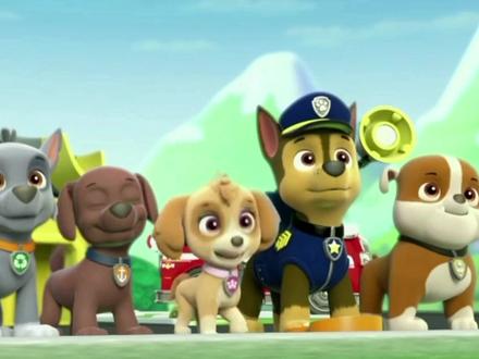 益智动画:第15集汪汪队毛毛参加最快消防犬直播,因救火慢一分钟