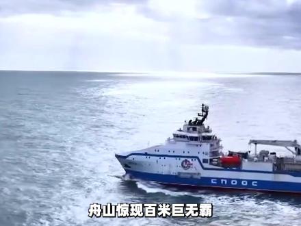 舟山码头惊现“巨无霸”!这艘神秘大船,为何让中国能源底气陡增 #时代的荣耀 #全球创作者计划 #零基础看懂全球 #春节世界观察