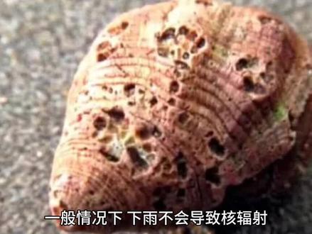下雨会不会有核辐射?