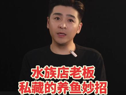 水族店老板绝口不提的养鱼绝招,终于被我挖出来了!#养鱼日记#观赏鱼#养鱼养心#新手养鱼