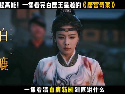 快速补完白鹿新剧:一集看懂盛唐宫墙下的善恶与深情 #唐宫奇案 #开年看唐宫奇案 #白鹿 #王星越 #了不起的精讲团