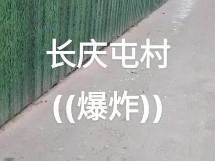 高新区王因镇长庆屯村