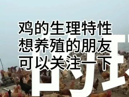 #家禽养殖 #抖音小助手 #养殖热门 #新手养殖 #养殖户 #热门热门 鸡的生理特性,想养殖的朋友可以关注下