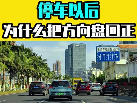 停车以后,为什么要把方向盘回正? #汽车 #用车有妙招 @抖音小助手