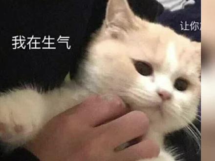 劝得很好,下次别劝了。#娱乐评论大赏