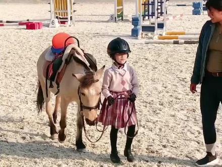 三年级作文《小马》。城堡小练笔