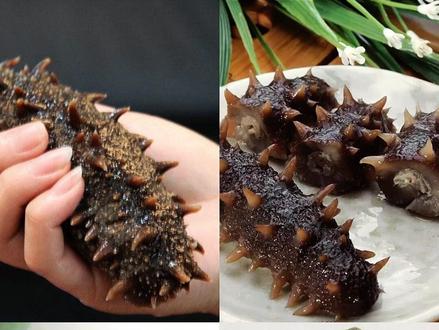 第36集|你分得清海参跟海茄子吗?它们的区别在哪呢?#海参 #海茄子 #海参知识