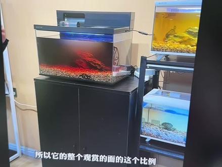 画法几何M1ultra,我愿称之为年度最丑智能鱼缸#智能鱼缸 #画法几何 #养鱼