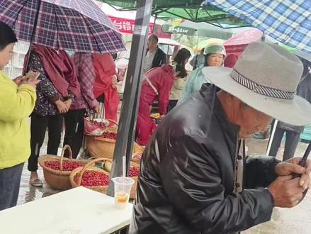 一场大雨打乱丰收,枣庄大樱桃熟透挂满枝,销路受阻鲜果难存放,农民实在太难了,家乡好樱桃求大家助力!#现摘樱桃 #分享家乡的樱桃 #又是一年樱桃采摘季