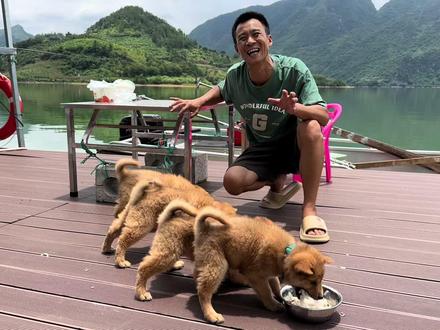 四条流浪小狗捡来快一个月,今天终于有了属于自己的专属狗盆