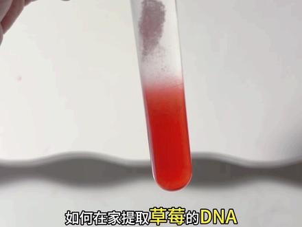 DNA的粗提取实验,在家也可以做,作为科普~#DNA #生物 #老师 #实验 #dna粗提取