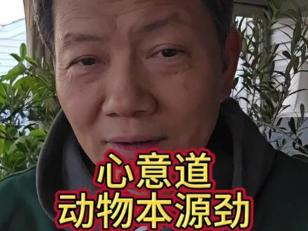 十大野兽各不同, 本源兽性独特劲。