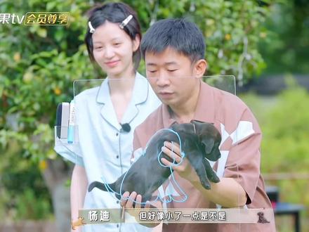 “比我平常的画工要略微差一点”#田曦薇 #李一桐 #桐心薇泯