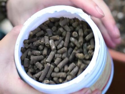 养花先养根,有机豆粕肥可以促根壮根,还能防止盆土板结,用完之后又入了五瓶,开箱来看看#养花小知识 #抖音520宠爱季 #爱生活爱养花 #月季 #有机肥 #肥料